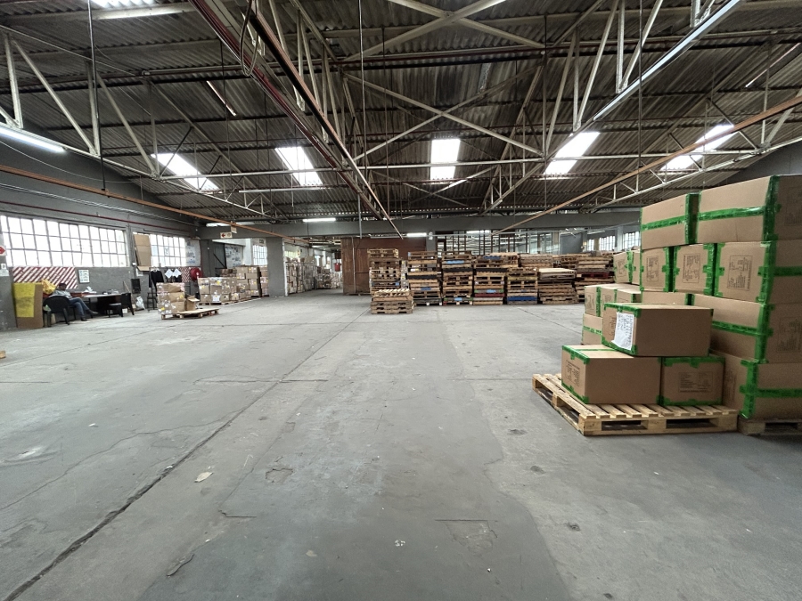 To Let Commercial Property for Rent in Epping Industrial Western Cape